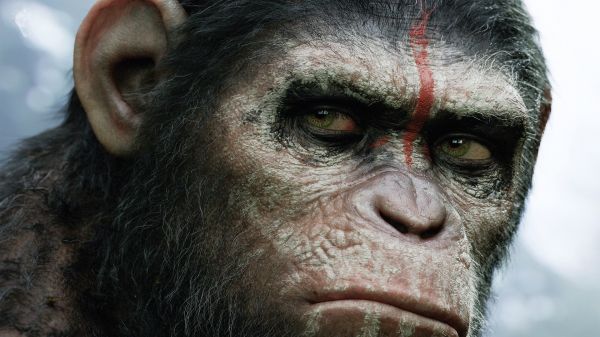 Planet of the Apes,1920x1080 px,artwork,Dawn of the Planet of the Apes,movies