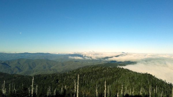 panorama,2560x1440 px,nuvens,floresta,montanha,céu