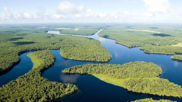 innsjø,speilbilde,elv,Amazon,fugleperspektiv,tundra