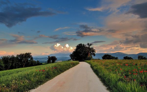 zonlicht,landschap,zonsondergang,heuvel,natuur,gras