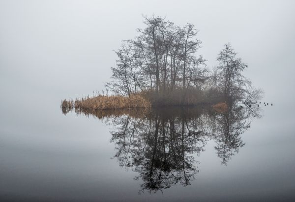 sø,vand,himmel,vinter,afdeling,afspejling