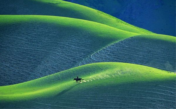 People in nature,หญ้า,ปลูก,ลาดชัน,Natural landscape,terrestrial plant