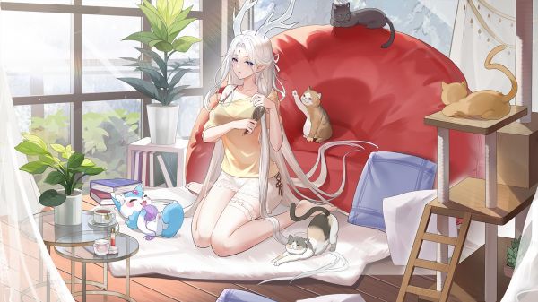 アニメ,アニメの女の子,猫,動物,生き物,白髪