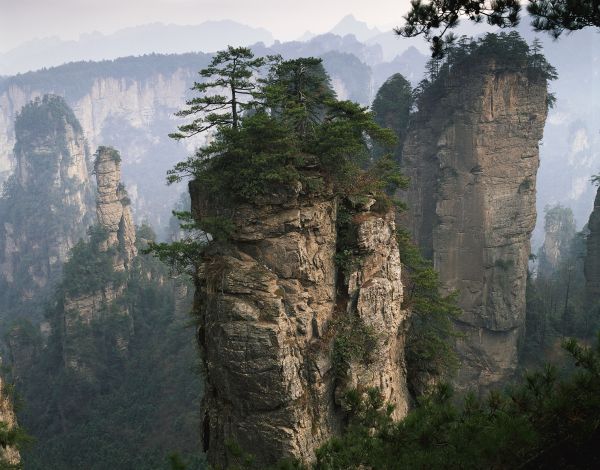 des arbres,paysage,forêt,Montagnes,colline,Roche