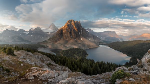 Горы,воды,лес,Цены расширенных лицензий,горные породы