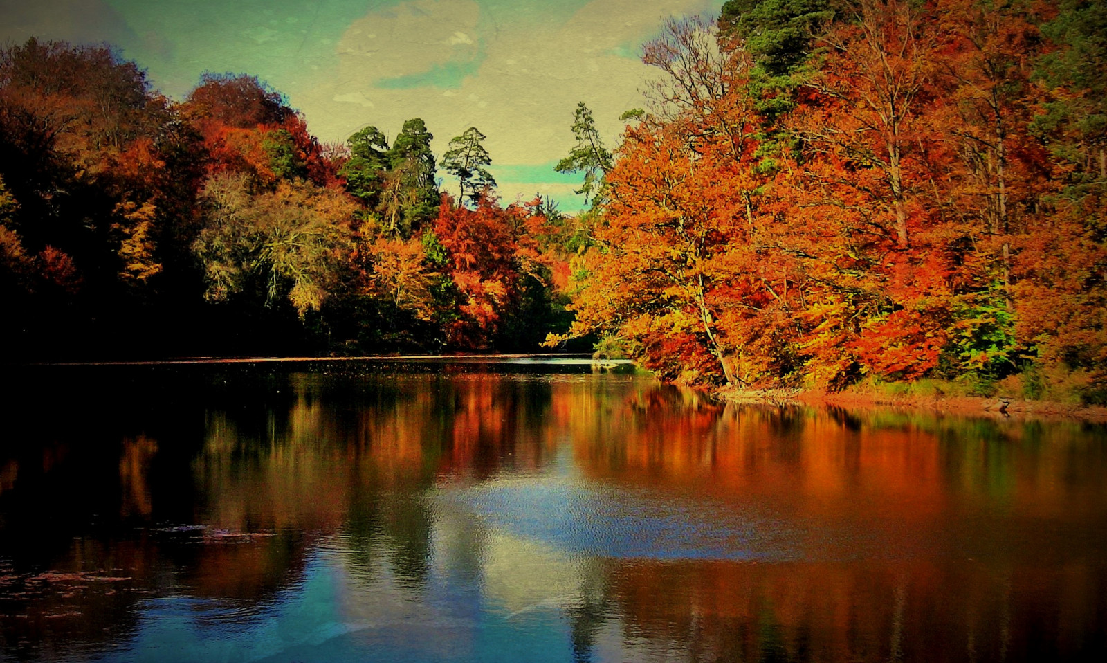 des arbres, paysage, forêt, mer, Lac, eau, la nature, réflexion, parc, champ, soir, Matin, verre, miroir, étang, arbre, l'automne, feuille, Landschaft, saison, Réflexions, Paysage, Lago, Arboles, Natur, réfléchir, Reflektion, Jardin, Wald, voir, Herbst, Wasser, Baum, Autunno, B ume, Riflesso, Roba66, Naturalezza, Alberi, Reflejos, Teich, Reflexo, Spiegelung, T mpel, Arbes, Herbstamb rensee, Plante boisée