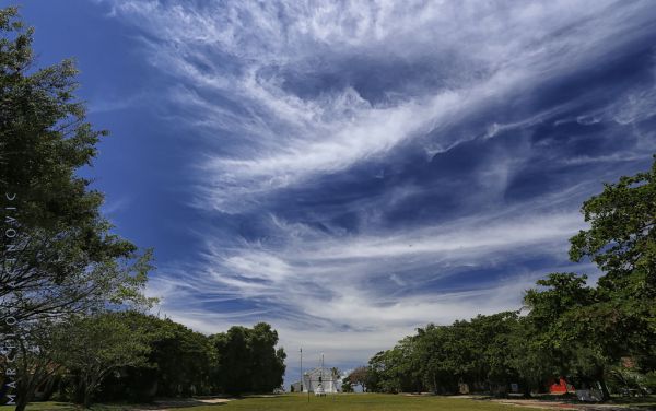 日光, 風景, 自然, 草, 空, フィールド