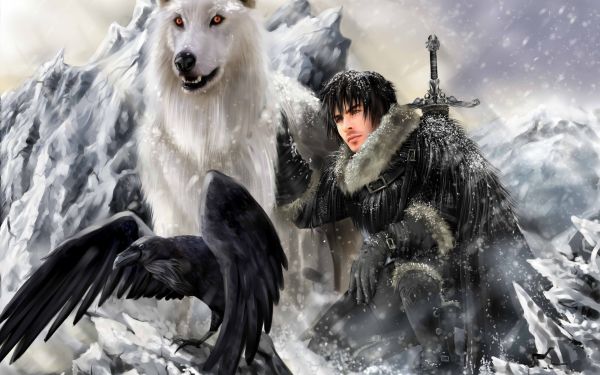 A Song of Ice and Fire,Game of Thrones,Jon Snow,Ravn,mytologi,dyr sport