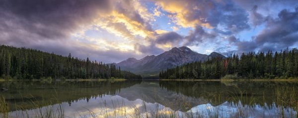 paesaggio, foresta, lago, alberi, montagne, tramonto