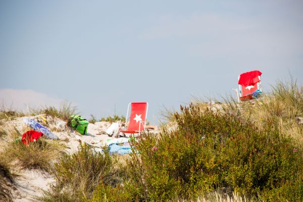 海,砂,ビーチ,赤,海岸,風