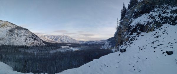 winter,snow,forest,nature,landscape,morning