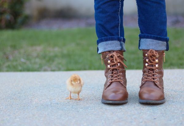 Une histoire d'oiseaux,chaussures,herbe