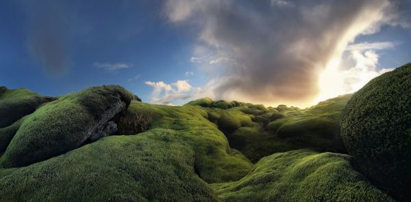 sunlight,landscape,forest,sunset,sea,hill