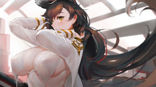 anime dívky,Atago Azur Lane,Azur Lane,videohry,fox dívka,foxy ears