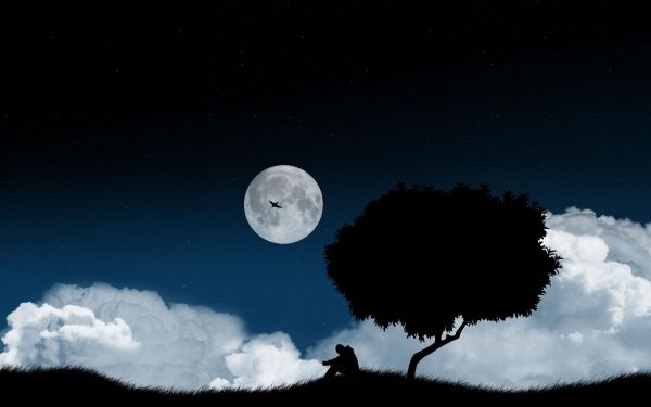 night,nature,space,sky,dark,Moon