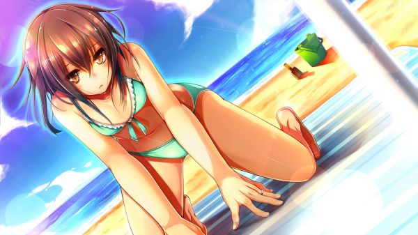 anime,anime girls,brunetta,cartone animato,spiaggia,Kantai Collection