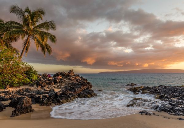 Bäume,Sonnenuntergang,Meer,Bucht,Wasser,Rock