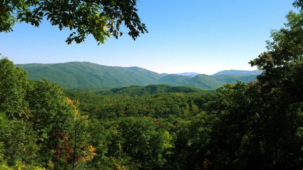 2560x1440 px,floresta,panorama,montanha,Smoky Mountains,Tennessee