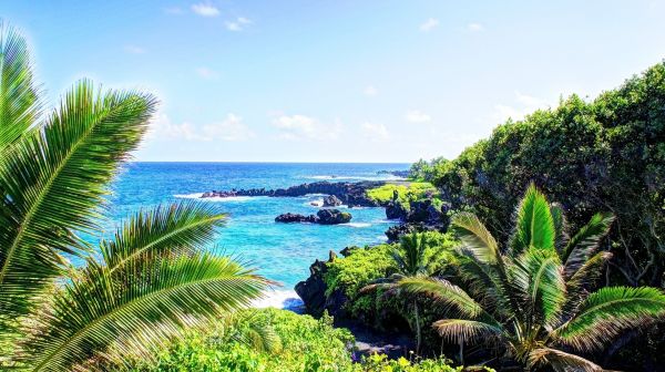 panorama,cascata,mar,baía,de praia,costa