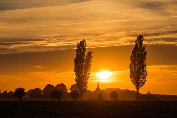 solnedgang,himmel,Sky,landskab,landskabet,træ