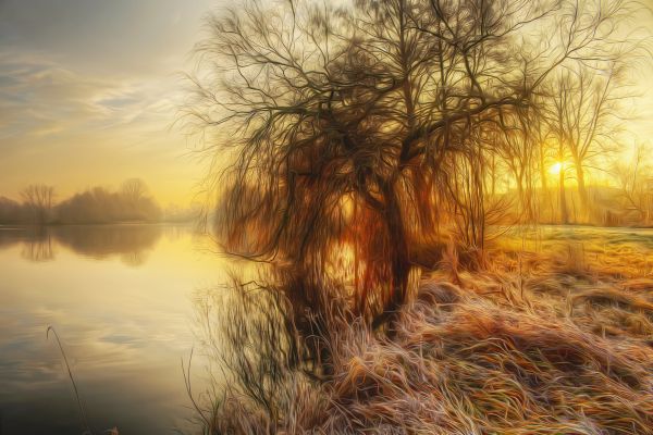 bomen, landschap, zonsondergang, water, zonlicht, meer