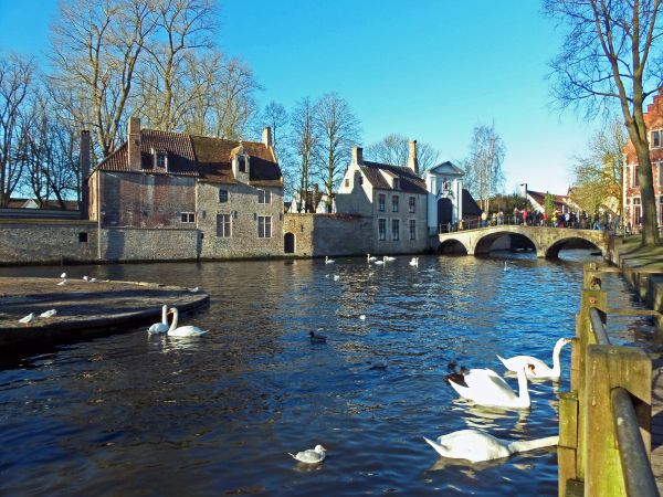 bier,foto,verbazingwekkend,België,belgique,belgie