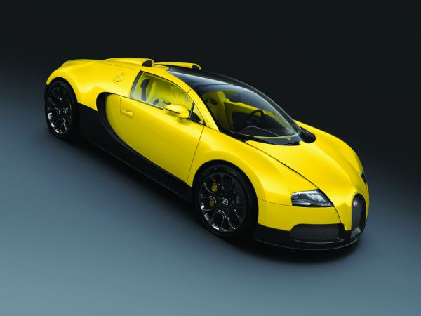 coche,vehículo,coche deportivo,Bugatti,2013,Bugatti Veyron