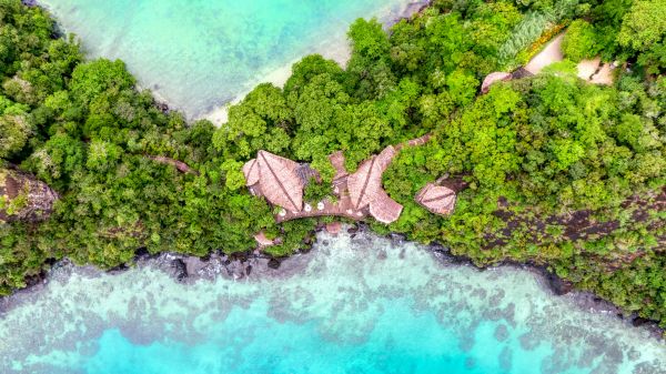 fotografi,pemandangan,tampak atas,pohon,di luar rumah,hutan