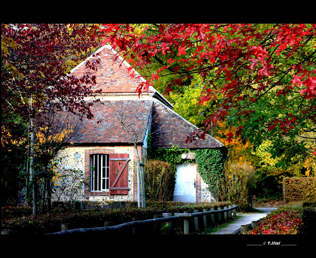 l'automne, France, Automne, L'Europe , village, Normandie, Caon, Eos450d, Doubleniceshot, Tripleniceshot, Mygearandme, Mygearandmepremium, Mygearandmebronze, Mygearandmesilver, Yolandamiel, Yofromparis