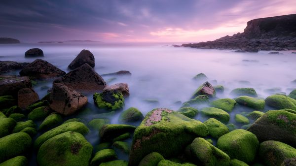 water,cloud,sky,water resources,green,nature