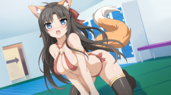 Anime,Anime Mädchen,Ecchi,Sakura Swim Club,Mieko,Nekomimi