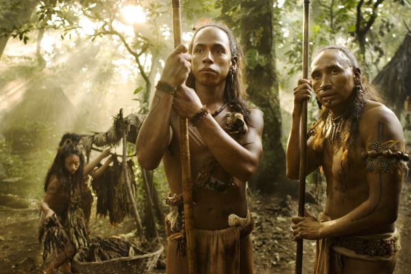 les,džungle,kmen,Apocalypto,strom,rostlina