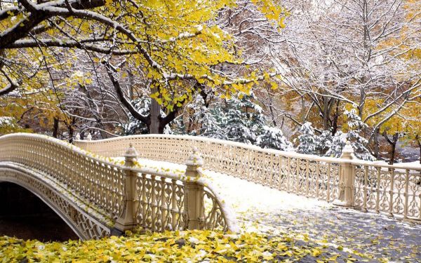 Centrale park,Manhattan,bruggen,winter