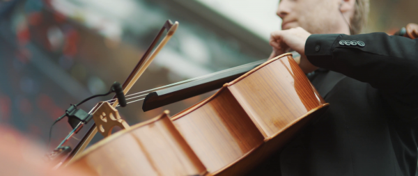 Tomorrowland,musik instrument,musiker,närbild,stränginstrument,klassisk musik