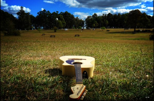 krajina,tráva,park,gitara,príroda,hudobný nástroj