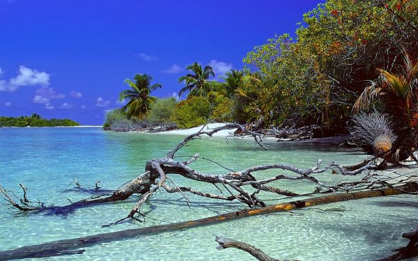 Landschaft, Meer, Bucht, Wasser, Natur, Bäume