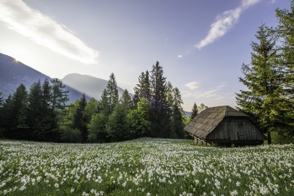 kleur,K,Photoshop,landschap,fotografie,huis