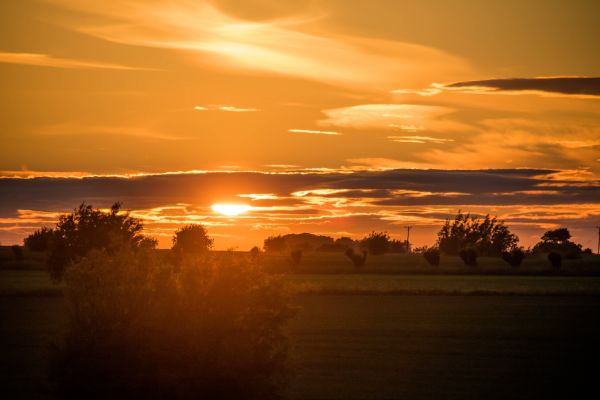 sollys,landskap,solnedgang,hav,speilbilde,himmel