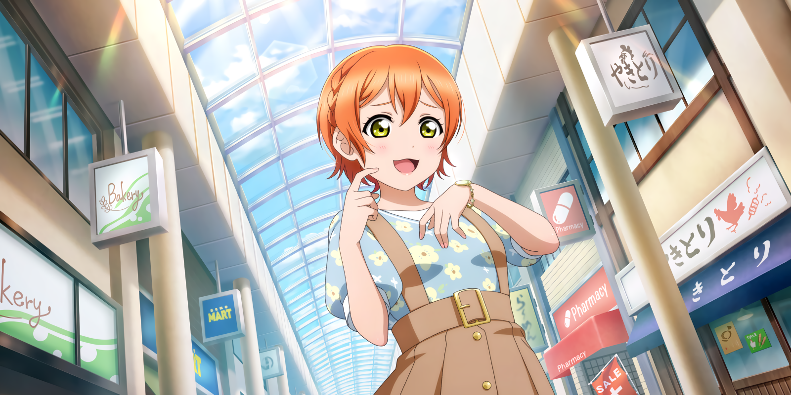 Hoshizora Rin, Hou van het leven