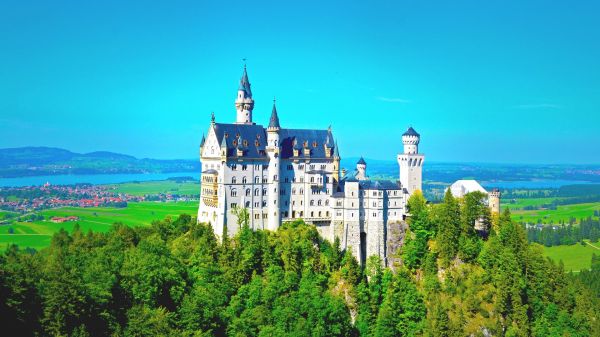 Château de Neuschwanstein,bâtiment,architecture,Château,des arbres,forêt