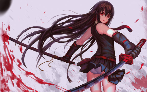 Filles anime,Akame,Akame ga Kill,Katana,culotte