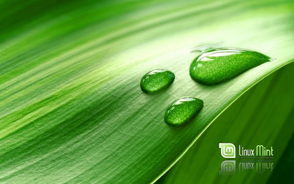 การพิมพ์ตัวอักษร,Linux,Linux Mint,หยดน้ำ