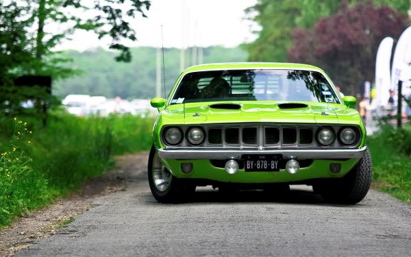 Araba,Araç,yeşil,Spor araba,Plymouth Barracuda,Sedan