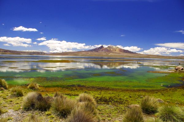 park,napnyugta,Chile,város,kék,Parque