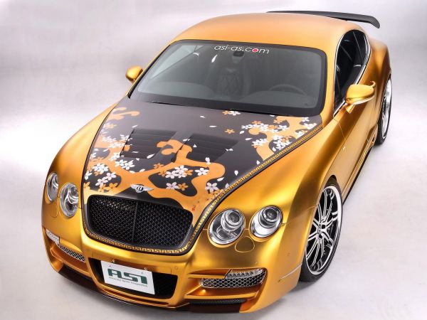 xe hơi,Xe,Bentley,Có thể thay đổi được,Bentley Continental GT,Xe hiệu suất