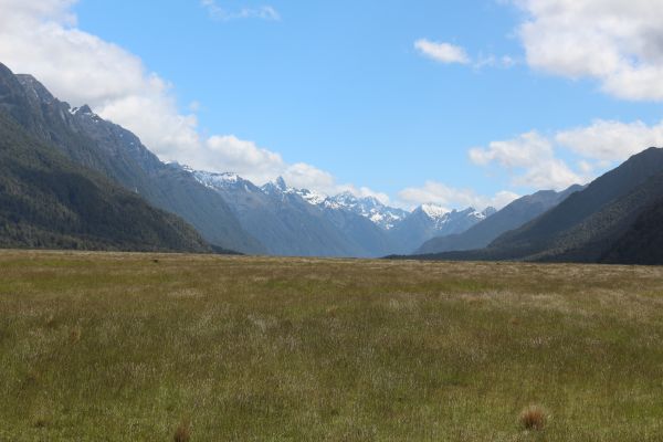 新西兰,Fiordland National Park,景观