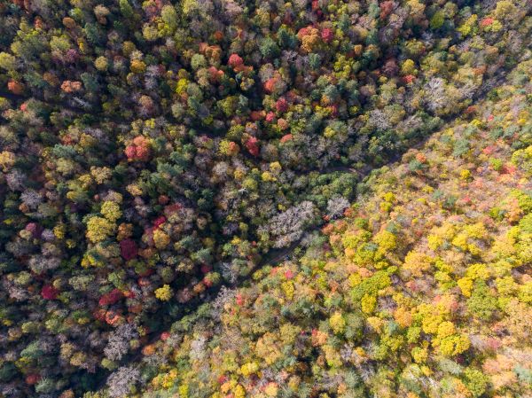 natureza,panorama,drone photo