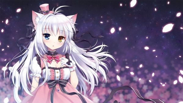 Chicas anime, niña Gata, Nekomimi, pelo blanco, Anime, guantes