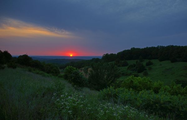 luz solar,Árvores,panorama,Pôr do sol,Flores,Colina