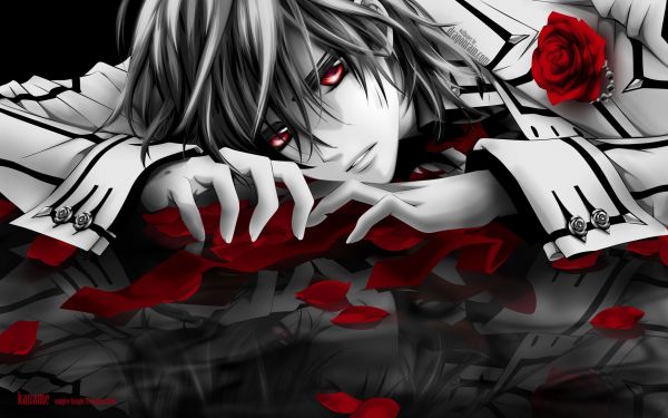 illustration,anime,Vampire Knight,monochrome,mangaka,comic book